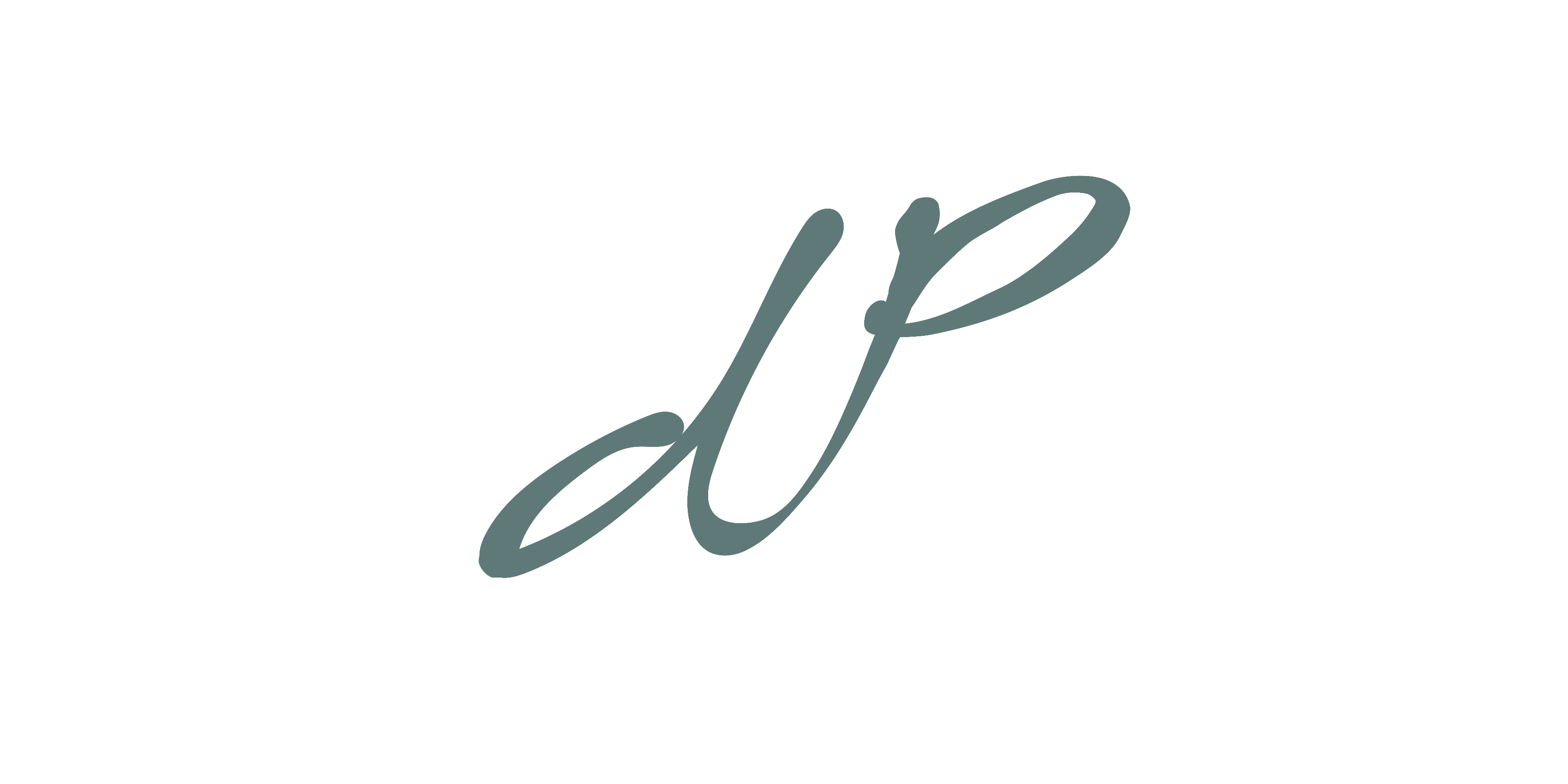 Du Preez Inc logo